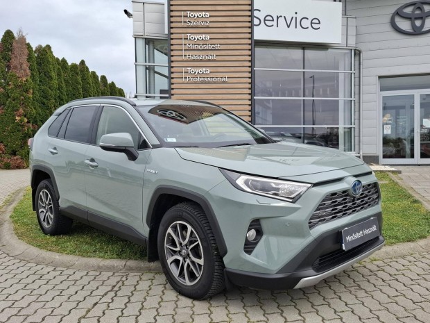 Toyota Rav 4 Rav4 2.5 Hybrid Executive AWD e-CVT