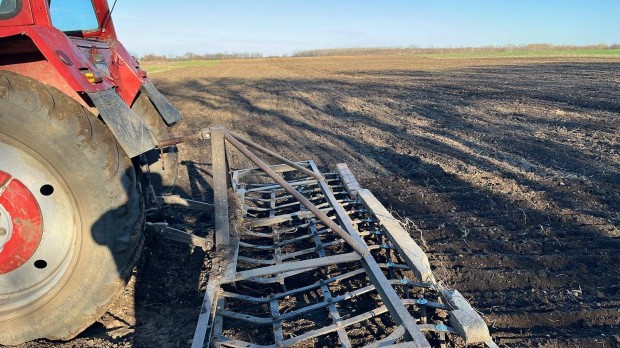 Tr�gyasz�r�,t�rcsa,borona