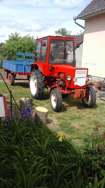Traktor elad Csongrd megye
