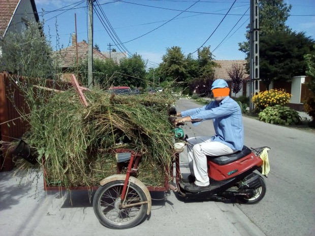 Tricikli, hzi kszts csotrogny Honda dibl