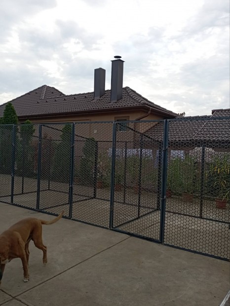 Tripla boxbl ll kutya kennel (6*2m)