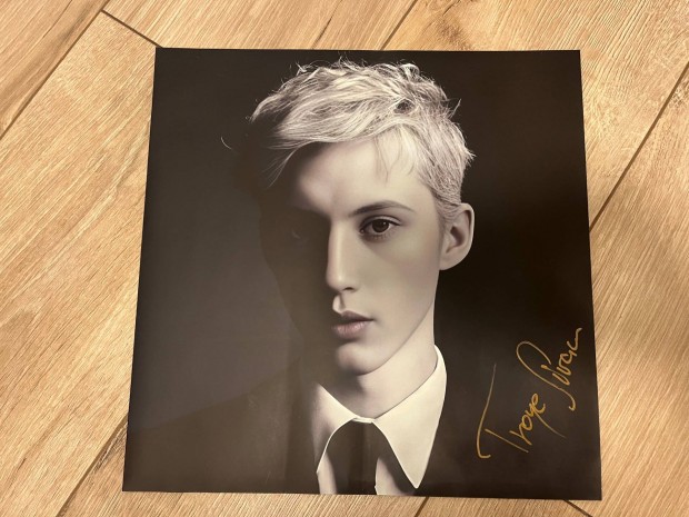 Troye Sivan dediklt LP vinyl bakelit lemez tok