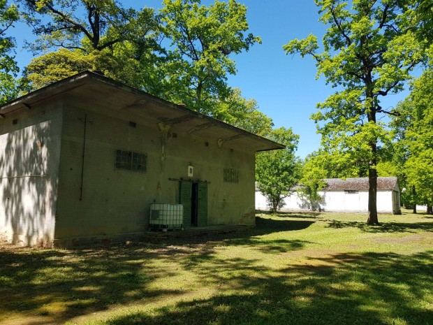Turisztikai vezet 10% bepthetsg, 50-100 ves tlgyfs, 80.000 m2