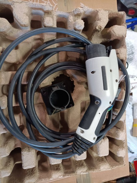 Type 1 tltkbel -leaf, ion, miev, rgi 500e