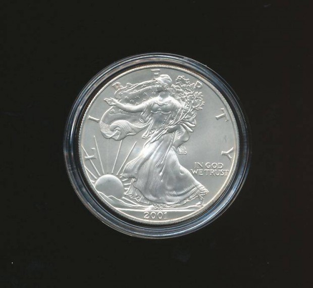 USA 1 oz ezst 2001, Silver Eagle