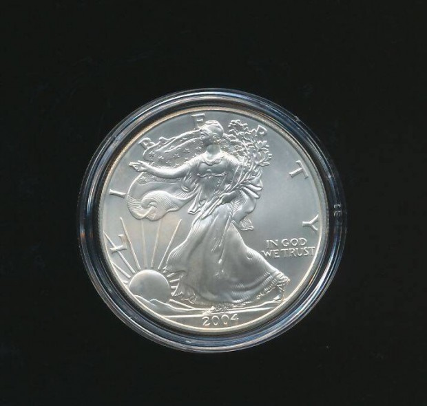 USA 1 oz ezst 2004, Silver Eagle