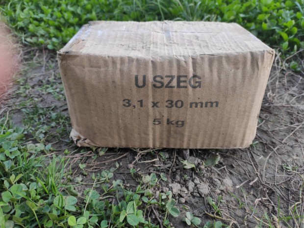 U szeg 3,1*20mm