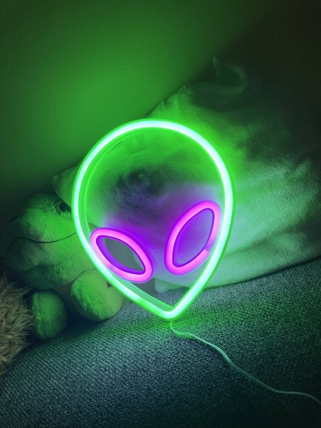Ufo Head Neon Led