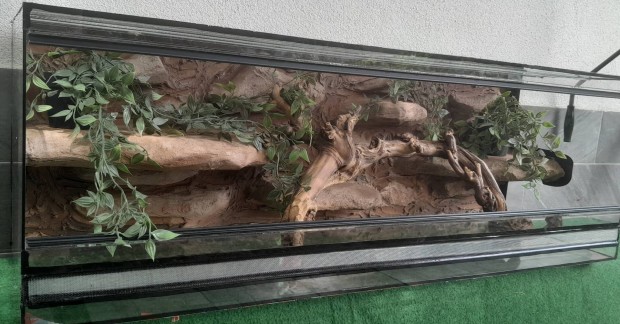 j 120x40-es Terrrium Beptett fix httrrel 