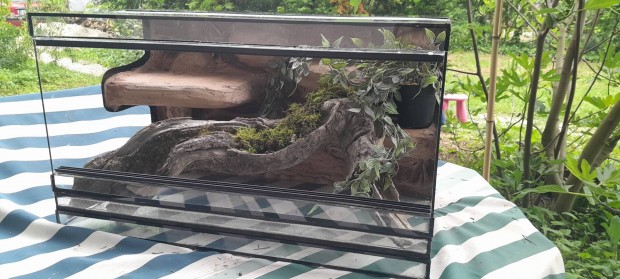 Új 80x40x40-es méretű terrárium beépített háttérrel