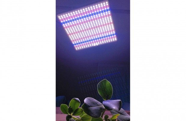 j, teljes spektrum beltri fito lmpa 500 db SMD2835 Led-el(30x30cm)