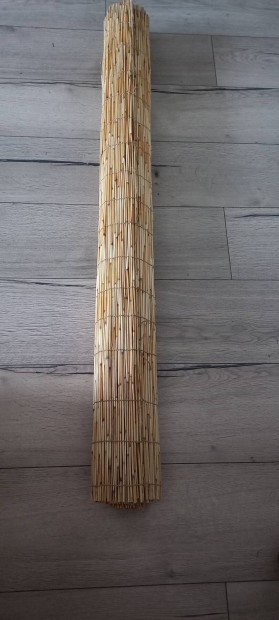 j bambusz rnykol llthat magassg 