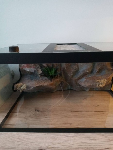Újszer terrárium háttérrel, akvárium