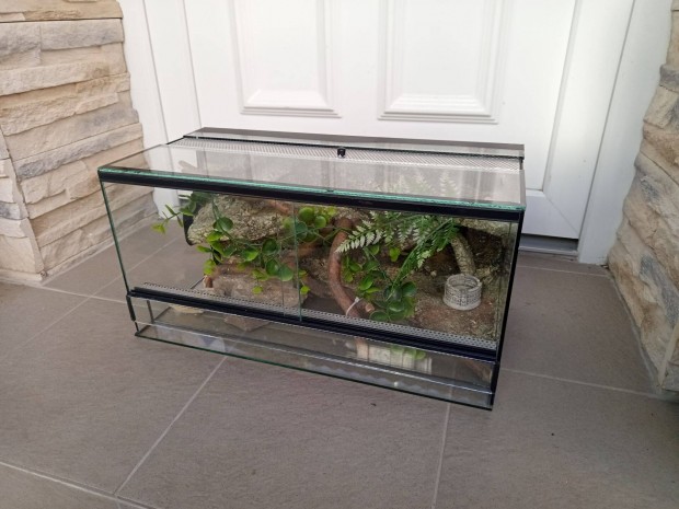 Újszerű hátterezett terrárium berendezve.32 liter
