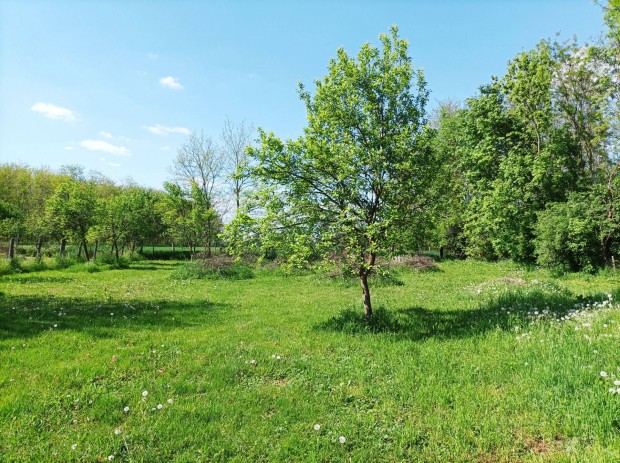 Ukkon belter�leti, �p�t�si telek elad�!