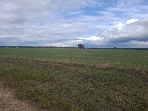 �ll�n sz�nt� Elad�