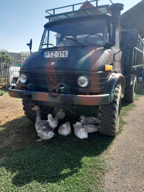 Unimog tg.elad