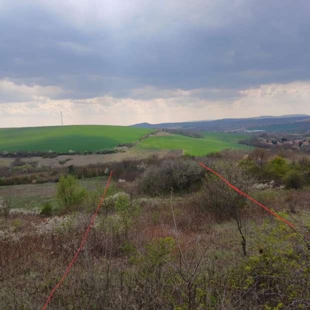 �ny z�rtkerti telek elad�