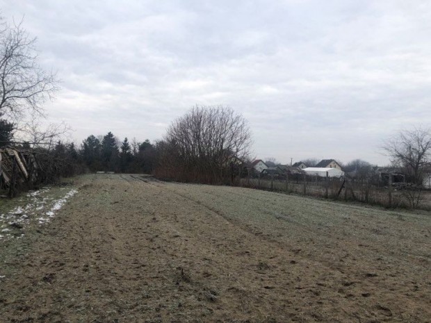 �rihegyben 6000 nm-es �p�t�si telek elad�! - Kecskem�t