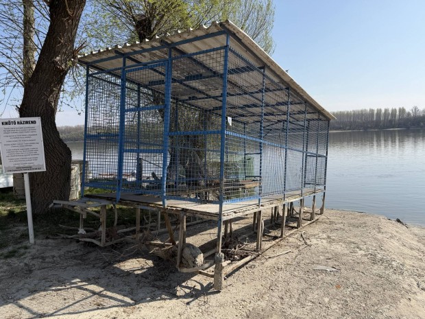 �sz�gar�zs, cs�nakgar�zs