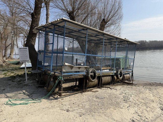 �sz�gar�zs, cs�nakgar�zs