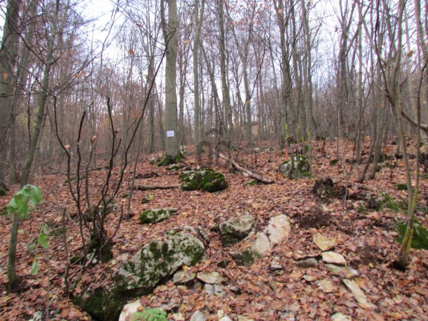 VAR�ZSLATOS TELEK ELAD� A B�KKI NEMZETI PARK MELLETT!