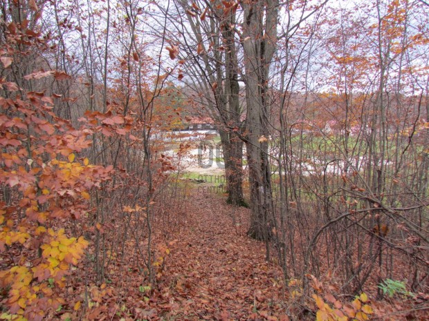 VAR�ZSLATOS TELEK ELAD� A B�KKI NEMZETI PARK MELLETT!