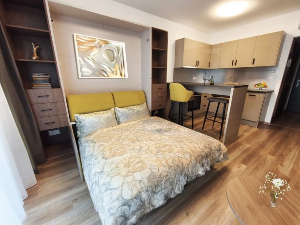 VIII. Ker�let, Dank� utca, 28 m2-es, t�rsash�zi lak�s, 1 szob�s