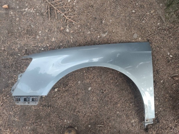 VW Passat B6 jobb s�rv�d� kis fel�leti r�zsdaval 