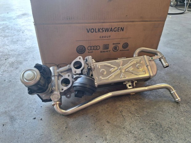 VW, Skoda, Audi, Seat gyri EGR