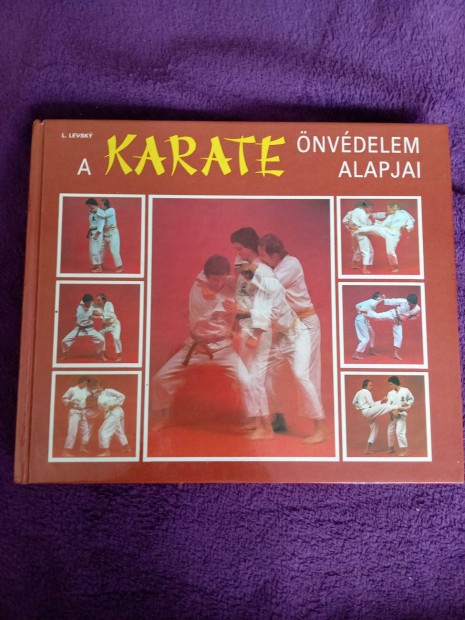 V. L. Levsky: A karate nvdelem alapjai