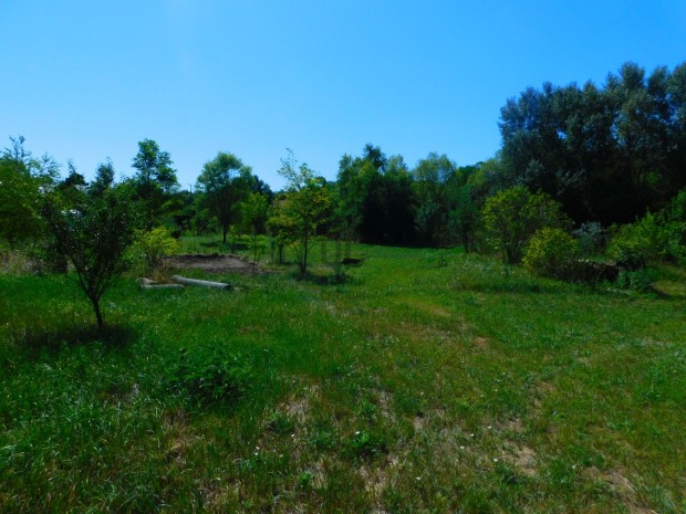 V�c k�zel�ben, V�ckis�jfalun k�l�nleges adotts�gokkal rendelkez� 2897