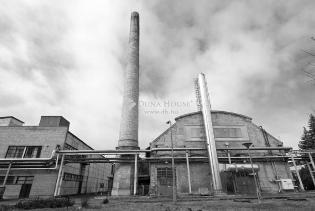 V�ci elad� 5234 nm-es gy�r