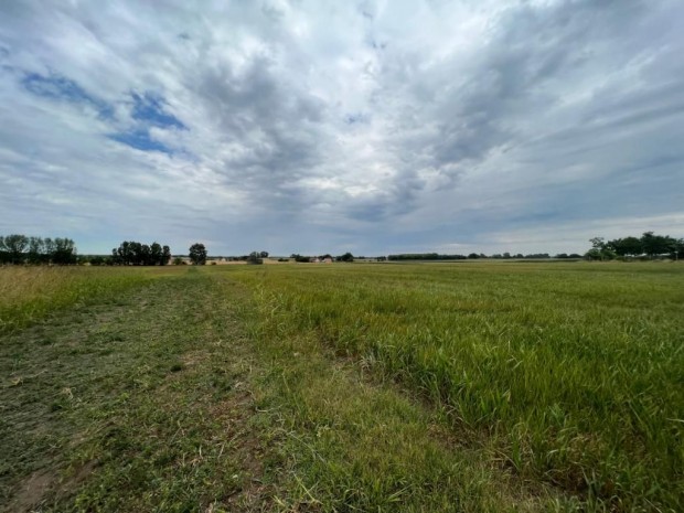 Vacsihegyben 34.000 m2-es �p�t�sre alkalmas ter�let elad�! -