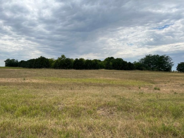 Vacsihegyben 6799 m2-es �p�t�sre alkalmas ter�let elad�! - Kecskem�t