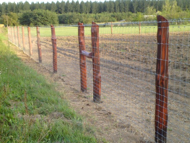 Vadháló,drótháló,akácoszlop,szögesdrót