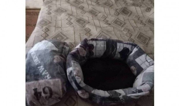 Vadi j Cica Kutya fekhely prnval Elad