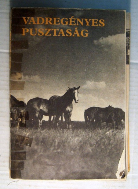 Vadregnyes Pusztasg (Csk Gyula) 1985 (srlt) 7kp+tartalom