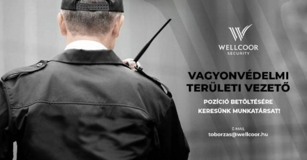 Vagyonvédelmi területi vezető