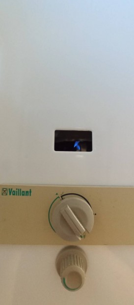 Vaillant vzmelegt alkatresznek