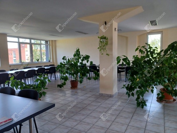 V�llalkoz�sra kiv�l� v�laszt�s