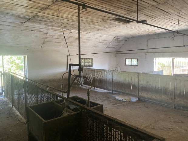 V�llalkoz�knak kihagyhatatlan aj�nlat! P�sp�klad�ny �szaki sor 15_beho