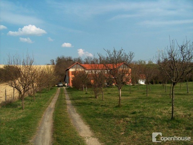 Valstsa meg lmait ebben a panziban