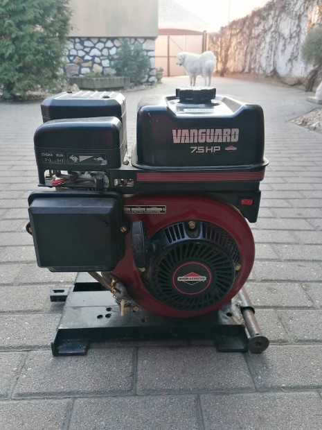 Vanguard 7.5HP motor. 