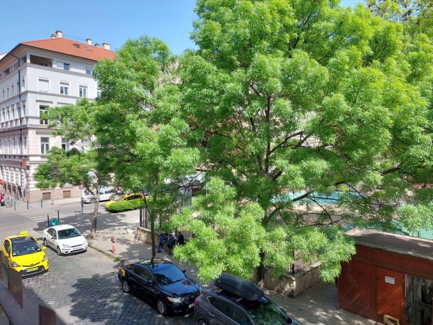 Város szívében, parkra néző, csendes, hangulatos polgári lakás