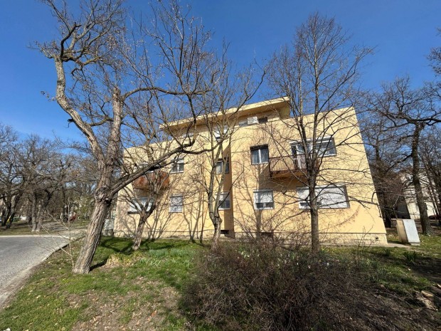 V�rpalota 3 szob�s, napf�nyes t�glalak�s