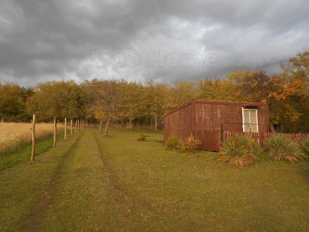 V�rv�lgyi panor�m�s telek, lak�kont�ner�ben nyaralni lehet!