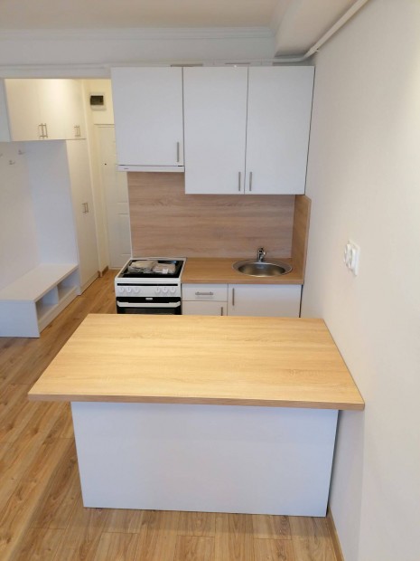 Vasv�ri P�l utc�n f�ldszinti garzon lak�s elad�