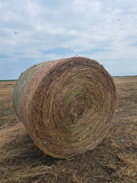 Vegyes széna