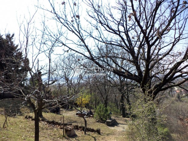 Velencei 644 nm-es telek elad�